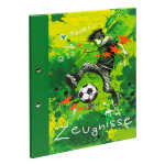 Goldbuch Zeugnismappe Stürmer