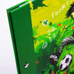 Goldbuch Zeugnismappe Stürmer