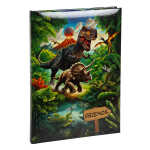 Goldbuch Freundebuch Vulkan