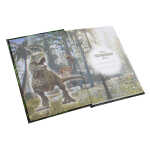 Goldbuch Freundebuch Vulkan