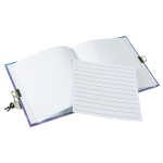 Goldbuch Tagebuch Prinzessin Sternenglanz