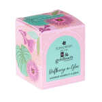 Goldbuch Duftkerze The English Roses Tropical