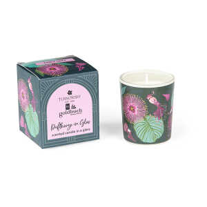 Goldbuch Duftkerze Early Grey Tropical