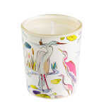 Goldbuch Duftkerze Mango Bergamot Insignia