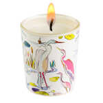 Goldbuch Duftkerze Mango Bergamot Insignia