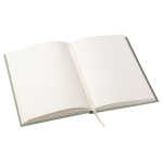 Goldbuch Notizbuch Notizen Manuscript