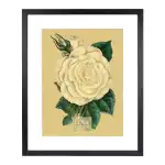 Goldbuch Bilderrahmen Rustiq schwarz