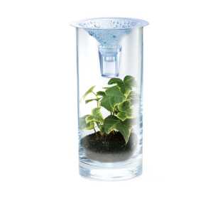 Green Science: Sauberes Wasser: Mini-Wasserfilter