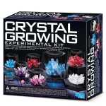 Crystal Growing: Kristall-Zucht Experimentierkasten