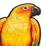Elliot UNIDRAGON - Playful Parrots (5 to 1) "L"