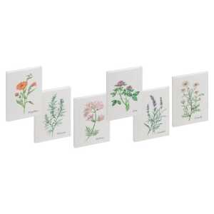 Notizbuch A6 64BL Kräuter sortiert