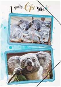 Gummizugmappe A3 PP Koala