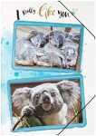 Gummizugmappe A3 PP Koala
