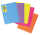 Sichthüllenmappe A4 PP School sortiert