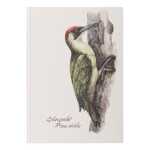 Notizbuch A5 Grünspecht 128S