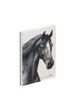 Notizbuch A5 black horse 128S