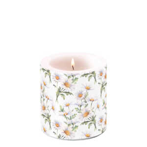 Kerze 9cm Schöne Gänseblümchen
