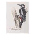 Notizbuch A5 Buntspecht 128S