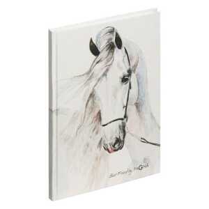 Notizbuch A5 white horse 128S