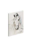 Notizbuch A5 white horse 128S