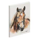 Notizbuch A5 brown horse 128S