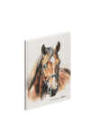 Notizbuch A5 brown horse 128S