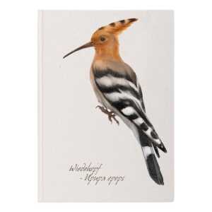 Notizbuch A5 Wiedehopf 128S