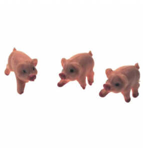 Glücksbr.Minischweinchen