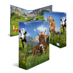 ORDNER A4 KARTON ALMKUH (5)