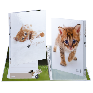 ZEUGNISRINGBUCH KARTON KATZEN (3)