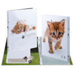 ZEUGNISRINGBUCH KARTON KATZEN (3)