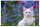 Posterunterlage Katze