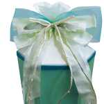 Roth Schleife "Cool Mint"