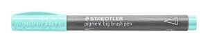 pigment big brush pen mint