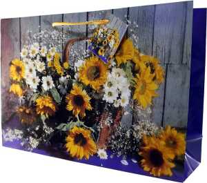 Geschenktüte  Geschenktasche  ca. A 4  Quer  /  verschiedene Deign , sortiert