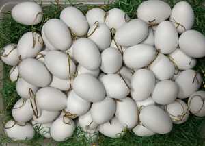 ADINA Kunststoffeier 6cm 100er weiß mit Aufhänger