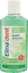 ELINA Zahn Mundspülung 250ml Mint Fresh ohne Alk.