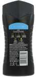 AXE Dusch 250ml Alaska