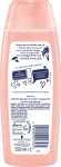 FA Dusch 250ml Divine Moments