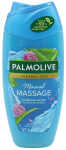 PALMOLIVE Dusch 250ml Aroma Sensations Mineral
