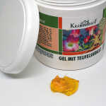 KRÄUTERHOF Creme 500ml Teufelskralle Salbe
