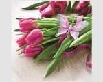 Premium Servietten Tulpen pink 20er 33x33cm
