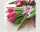 Premium Servietten Tulpen pink 20er 33x33cm