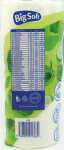 BIG SOFT Haushaltsrolle 2-lagig Classic 2x50