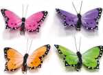 Schmetterling 2er Set! je 7x3cm Farben sortiert