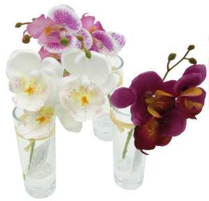 Edle Orchidee in Glasvase, 19,5cm