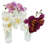 Edle Orchidee in Glasvase, 19,5cm