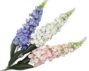 Hyazinthe Delphinium Mix XL, 70cm