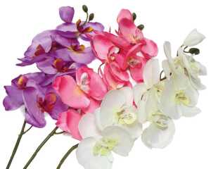 Schmetterlings Orchidee 7 Blüten 68cm Lieferumfang 3 Stück sortiert