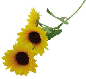 Sonnenblumen Strauß mit 3 Köpfen, 10x58cm